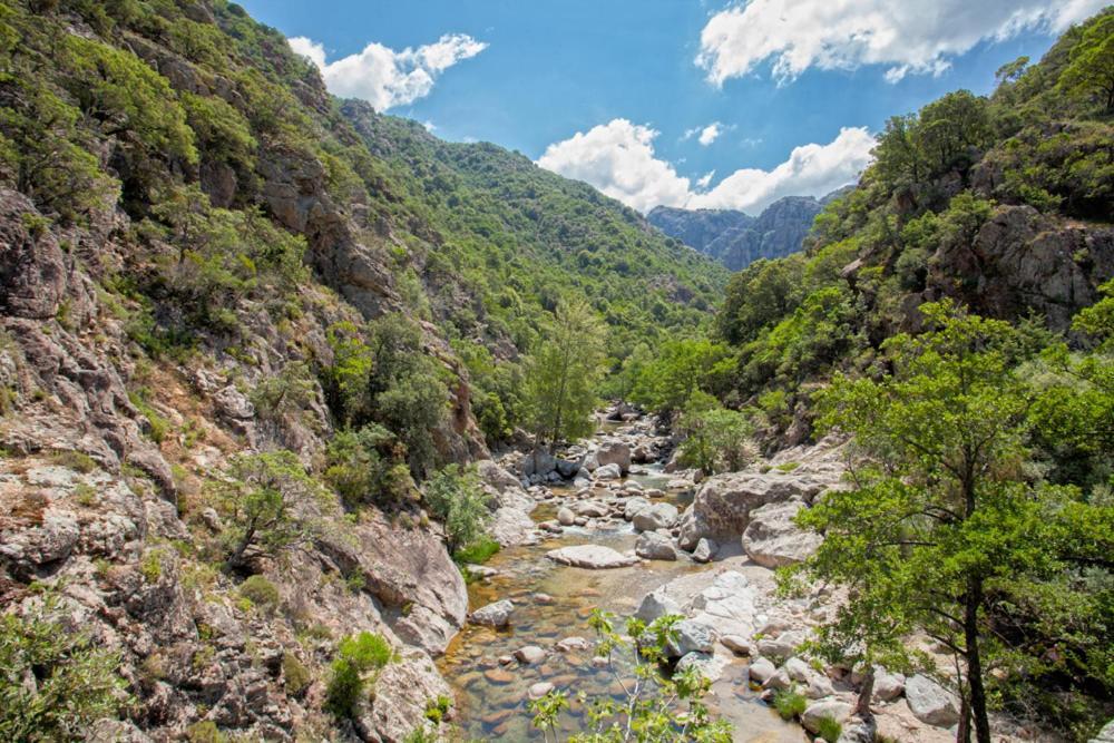 Gîte Du Pont - Piana Buitenkant foto